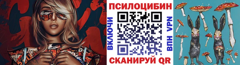 где купить наркоту  Алдан  Псилоцибиновые грибы Psilocybine cubensis 